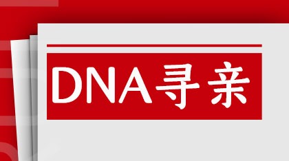 DNA采血寻亲成功率有多高？技术、案例与情感交织的真相