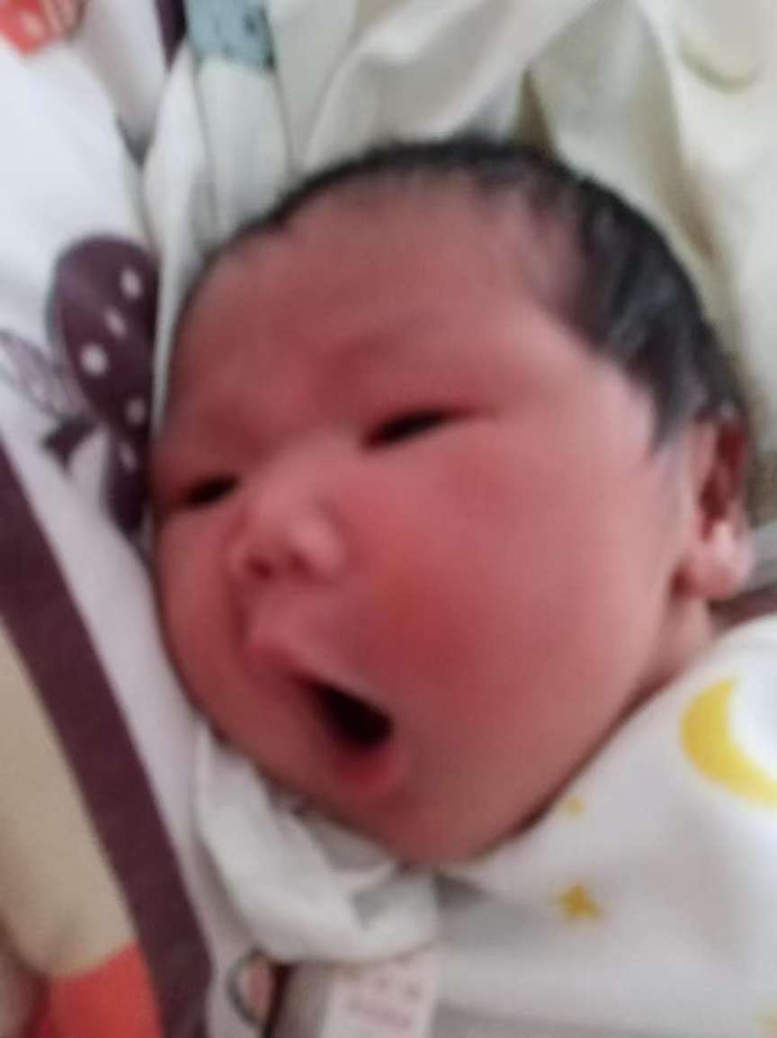 抱养孩子，希望给孩子上户口。 - 张诗研