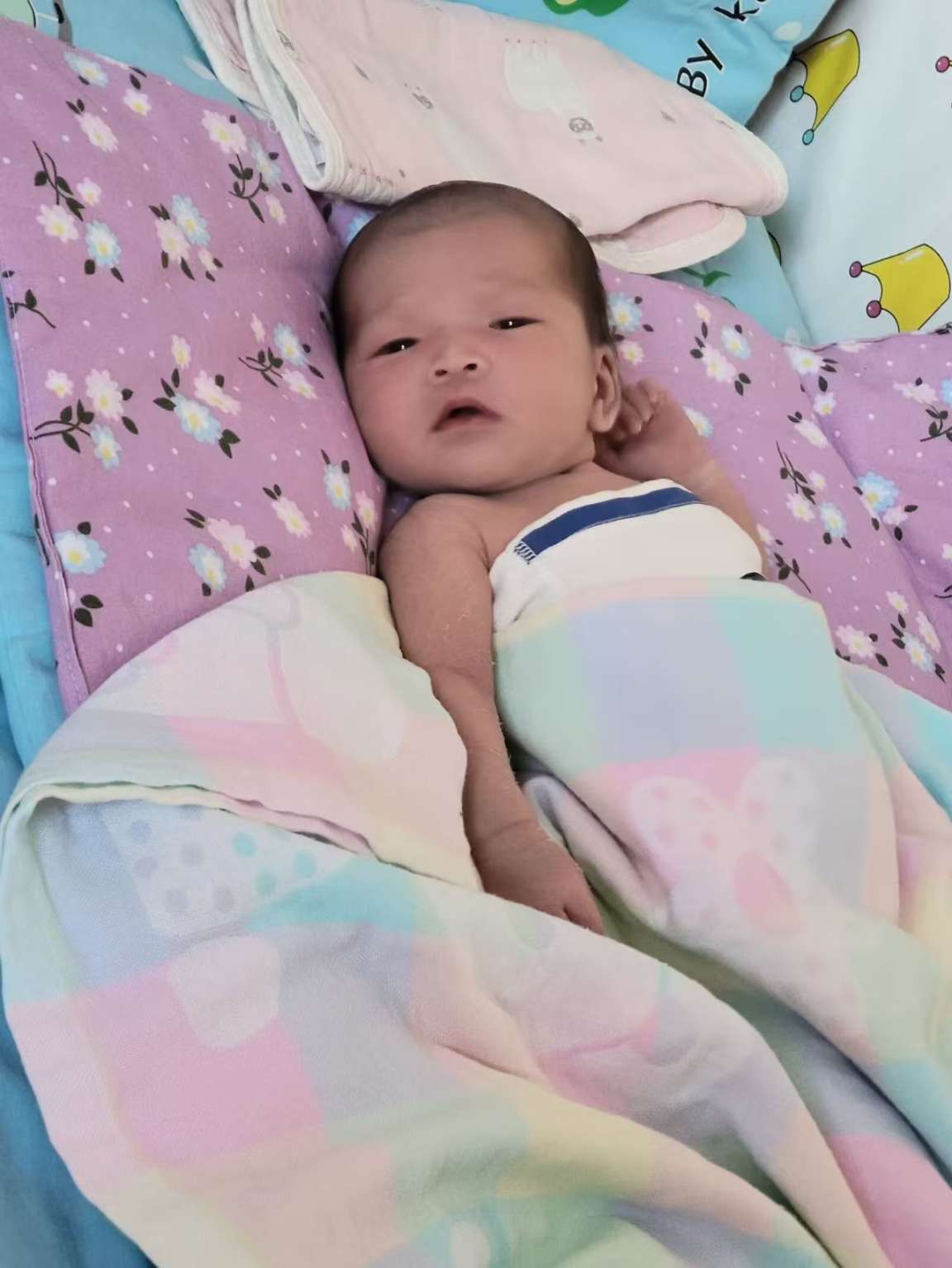 寻找失散亲人杨锦汐照片