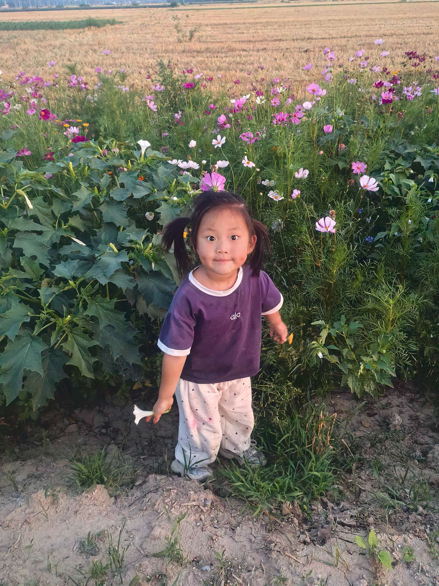 寻找失散亲人刘子萌照片