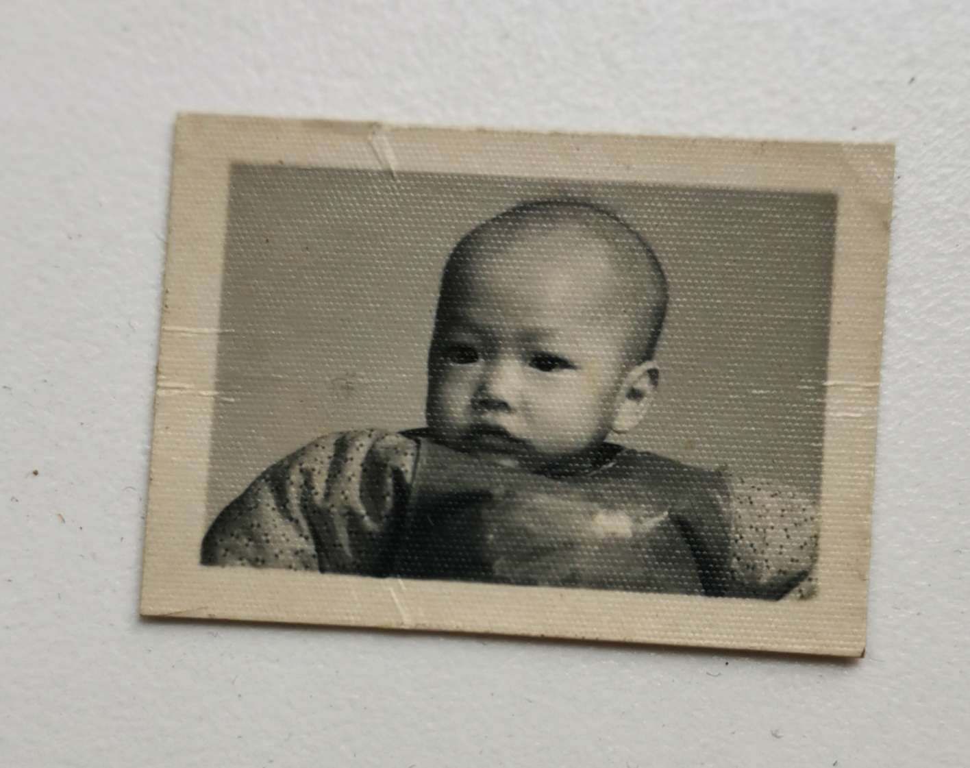 陈坚持