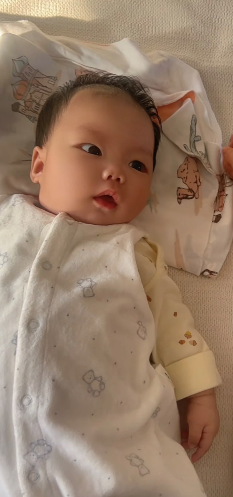 寻找失散亲人张晨曦照片