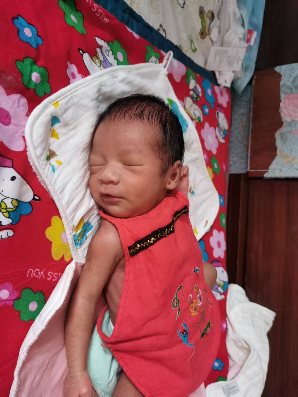 寻找失散亲人泽泽照片